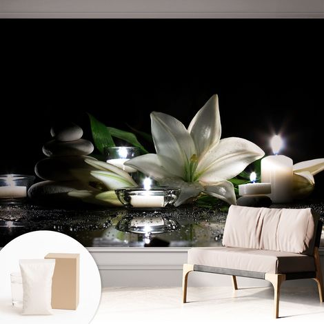 Papier peint intissé mural avec colle pour salon et chambre Décoration murale rapide - Colle incluse gratuite Scène relaxante 312x219 cm (1/5)