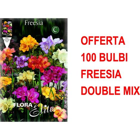 OFFERTA 100 BULBI FREESIA DOUBLE MIX BULBS BULBES