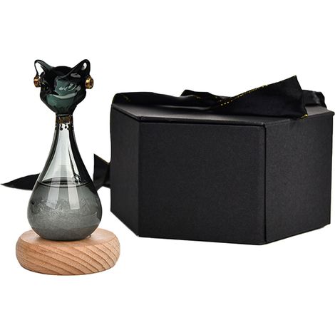 Bouteille météo pour chat avec indicateur météo, noire, ergonomique et robuste, en verre, pour salon et cuisine. (1/5)