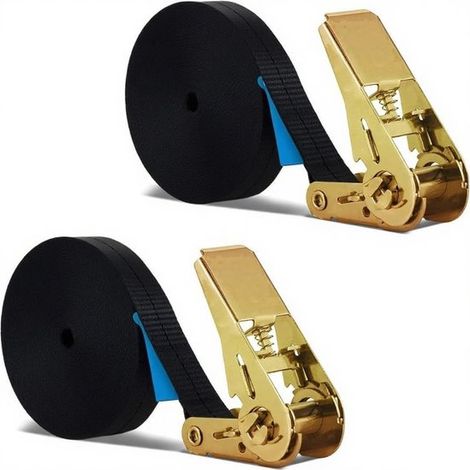 Dailygoods，Correas de trinquete (2 unidades)，10 m de longitud，25 mm de ancho，Capacidad de carga de hasta 1000 kg，Poliéster con trinquete metálico (1/5)