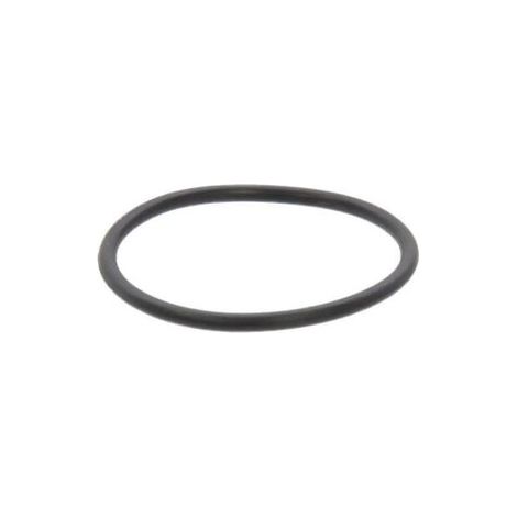 O-Ring 24,0 X 1,5 Kärcher 6.362-376.0