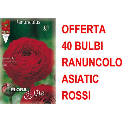 OFFERTA 40 BULBI RANUNCOLO ASIATIC ROSSO BULBS