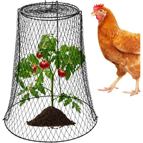 Cloche de protection robuste pour cage (1/5)