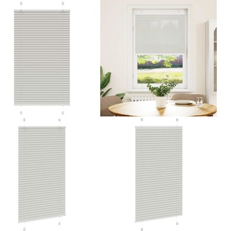 vidaXL Plissee Hellgrau 75x100 cm Stoffbreite 74,4 cm Polyester (1/5)