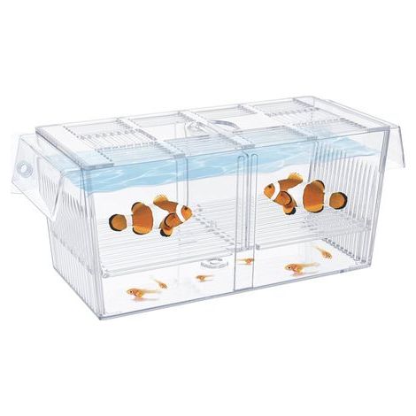 Acrylic Incubation Box, Removable Dividers, Suction Cups, For Aquarium Fish Shrimp (1/5)