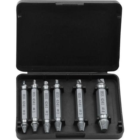 6 Pièces Extracteur de Vis Cassé, Extracteur de Vis Dénudé, Extracteur à Vis à TêTe Double,Acier Haute Vitesse H.S.S 4341,pour Retirer Facilement de Goujon Abimées et Boulon Endommagées,Argenté (1/4)