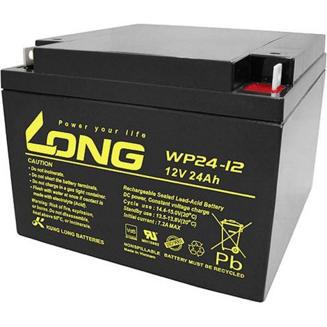 Batería de Plomo Long WP24-12 12V 24Ah Negra