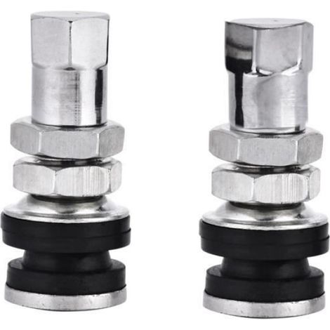 AYNEFY Tige de valve de pneu Tubeless 10 pièces TR161 métal voiture camion moto boulon dans pneu pneu Valve tiges courtes avec (1/3)