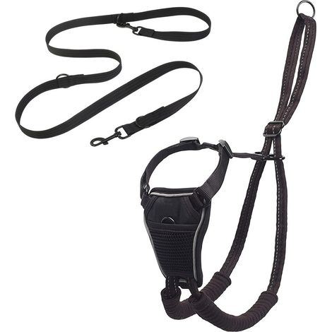 Ensemble harnais/laisse pour chiens/cats, regolabile, nero