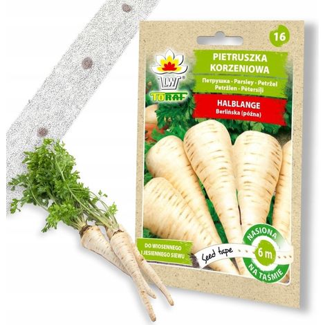 Mezza flangia di radice di prezzemolo (nastro da 6 m) (1/5)