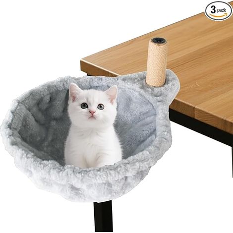 Cat Desk Bed with Scratching Post for Cats Hanging Bed Hammock for Pets 30 cm Supports up to 10 kg (1/5)