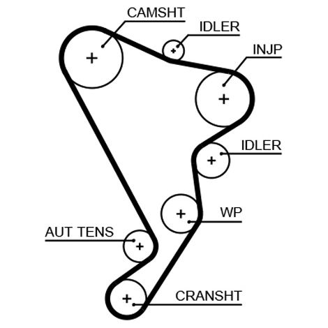 Kit de courroie crantée Gates K015661XS VW 076198119