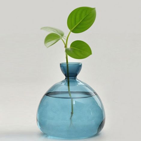Hydroponische Vase – 1 Stück – Glas – Samenkeimung – Indoor-Anbau – Blau (1/5)