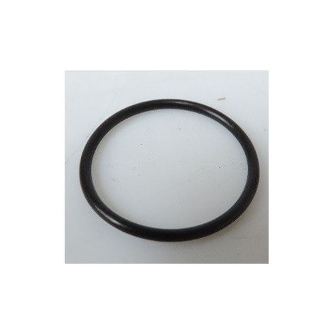 Joint torique Perbunan PG21 (Sachet de 20) CAPRI CAP242146