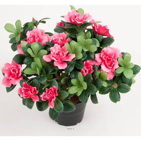 Azalee artificielle en pot H 25 cm D 30 cm qualité top Rose fushia - couleur: Rose fushia 730
