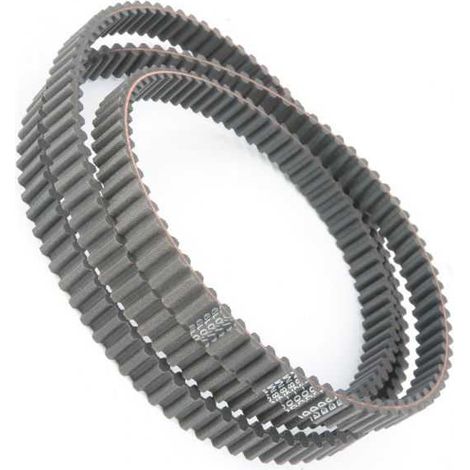 Courroie tondeuse 1800DS8M16 double denture  16 x 1800 mm (1/5)