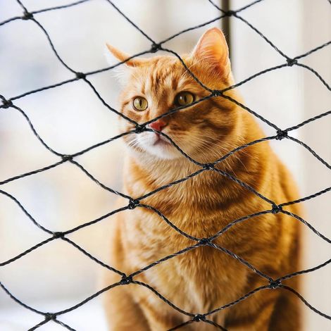 Filet de protection robuste pour chat - Pour balcon et fenêtre - 4 x 3 m (1/5)