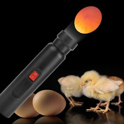 Mire Oeuf Lampe Mire Oeuf Testeur d'oeufs, Lumière LED pour Vérifier l’Incubation d’Oeuf Portable Incubateur d'oeufs de Cane Lampe de Poche Batterie pour Volaille (1/4)
