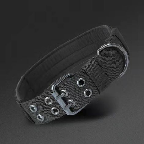 1 collier tactique en nylon pour chien de grande et moyenne taille, taille réglable, laisse pour chien