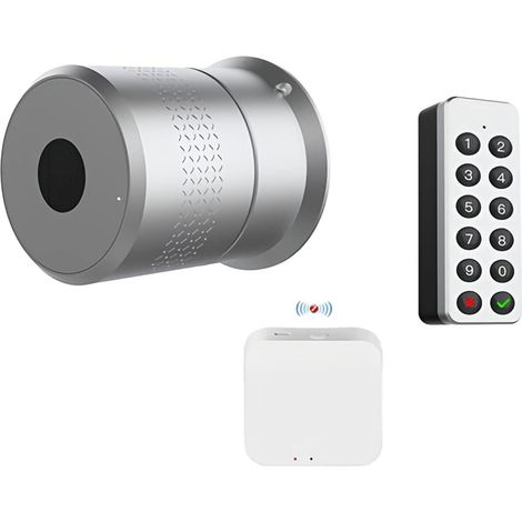 Serrure de porte intelligente TUYA Smart Lock TTLock M531 empreinte digitale maison télécommande Wifi sans fil Original cylindre coupe clé/supprimer interrupteur espagne ( Color : Gatway Keyboard , Si (1/3)