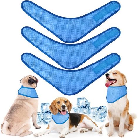 3x Collare rinfrescante per cani M Bandana rinfrescante per cani Circonferenza del collo da 26 a 35 cm Bandana rinfrescante per cani Collare rinfrescante per cani Bandana rinfrescante per cani (1/5)