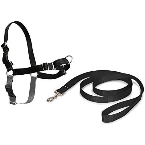 Imbracatura per Animali Domestici PetSafe Easy Walk Nero Medianav (M) (1/5)