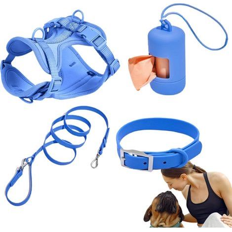 Ensemble de harnais pour chiens de petite taille, laisse pour chien – Pas de harnais pour chien, gilet avec laisse, collier de sécurité, réglable avec porte-sac à déjections canines (1/5)