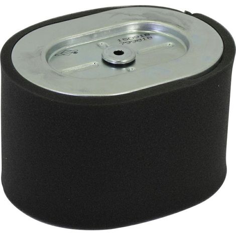 Filtro aria Motori ad albero orizzontale 25T200 BRIGGS &amp STRATTON