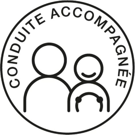 DISQUE ELECTROSTATIQUE "CONDUITE ACCOMPAGNEE"