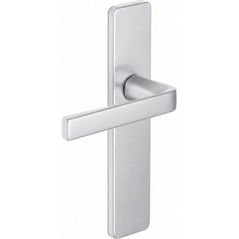 Maniglia per porta Kasa con piastra argentata, passo 195 mm, bocca di canna