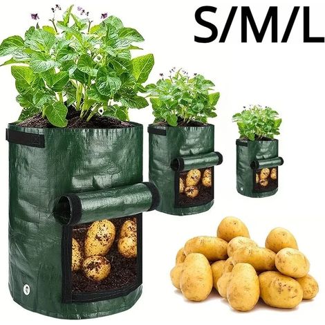 (L) Sacs de culture pour plantes de jardin en PE, pour la culture de légumes, pommes de terre et carottes, en pots d'extérieur (1/5)
