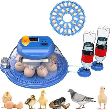 Couveuse pour Oeufs, Couveuse Automatique pour Oeufs Couveuse pour Oeufs de volailles de Ferme Couveuse pour Oeufs de Poulets, Canards, oies, Pigeons et cailles 8 Oeufs