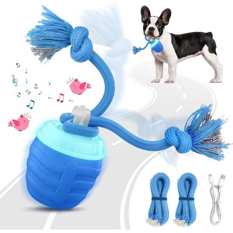 Juguete interactivo para perros: pelota activada por movimiento, la pelota interactiva los mantiene entretenidos (azul) (1/5)