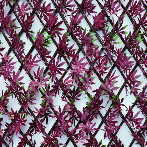 SIEPE ARTIFICIALE DA GIARDINO TRALICCIO ESTENSIBILE FOGLIE ACERO ROSSO 1X2 MT VK