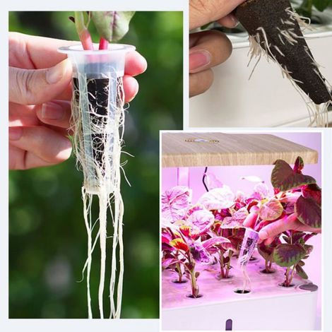 50pcs Kit de Culture Hydroponique Éponges, Croissance des Racines, Rechange, Tomate/Fraise, Jardinage Cuneary (1/5)
