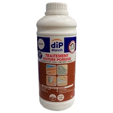 DIP Traitement Toiture poreuse 1 L