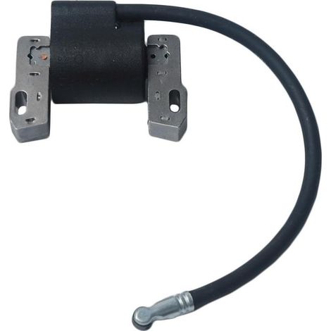 Beehive Filter Replace the coil ignition for Briggs & Stratton Magneto Armature 495859 491312 490586 492341 New (1/5)