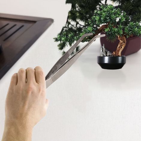 Pince à bonsaï en acier inoxydable, pince à presser la terre, couteau de rempotage, pince courbée pour la plantation et le rempotage de plantes succulentes (1/5)