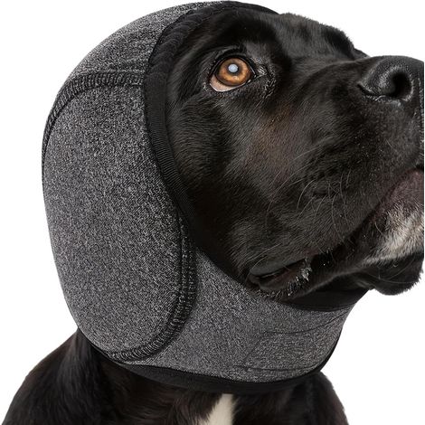 1 Cache-oreilles pour chien, Coton, Enveloppement élastique, Imperméable, Protection auditive, Chien petite et moyenne taille (1/4)