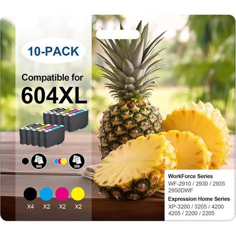 604 XL Cartouches d'encre Compatible pour Epson 604XL pour Expression Home XP-2200 XP-2205 XP-3200 XP-3205 XP-4200 XP-4205 (1/5)