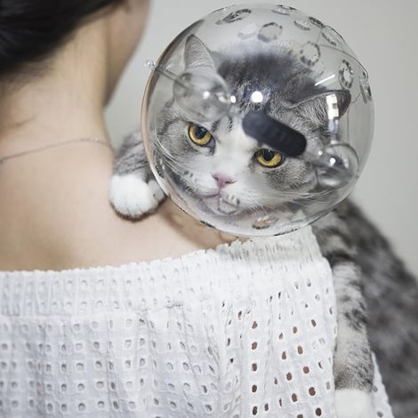 Muselière transparente et respirante pour chat – Casque de protection anti-morsure et anti-léchage – Design oreilles de chat – Double verrouillage – Taille small, transparent (1/5)