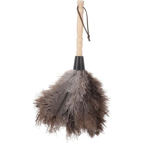 1 pc Duster Plumes pour Nettoyage de Maison Outil de Nettoyage Poussière pour Équipements Électroniques (1/5)