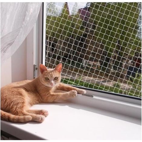 Filet de protection pour chat en fibre de polyester, pour balcon, peut être coupé et résistant aux morsures, pour sécuriser ,3 x 6