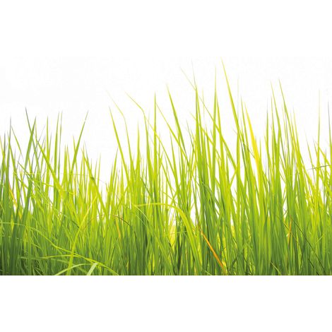 Papier peint panoramique nature vert & blanc | Tapisserie panoramique plante haute herbe pour couloir | Papier peint panoramique chambre enfant - 384 X 260 cm (8 pièces) (1/2)