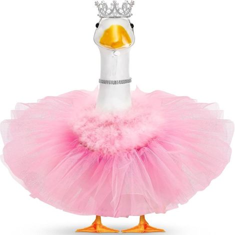 Ensemble 4 costumes oie princesse pour pelouse, tutu, couronne, collier, plumes (58 cm, 43 cm)