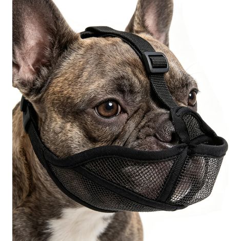 Dog Muzzle with Short Muzzle, Breathable Mesh Design for French Bulldog, Staffordshire Bull Terrier, Anti-Ingestion, Adjustable, Allows Drinking and Swallowing, Black, M (1/5)