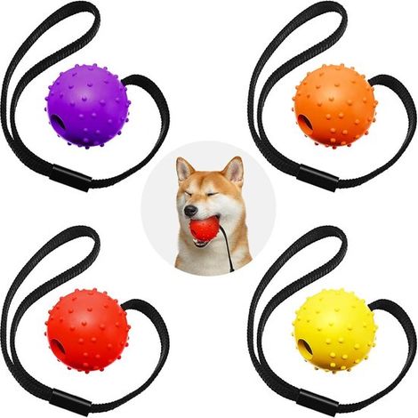 Set di 4 palline per cani con corda - Pallina interattiva per addestramento cani - Giocattolo per cani - Pallina con corda - Ricompensa - Giocattolo per esercizi per cani di piccola, media e grande ta (1/5)