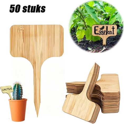 50 étiquettes pour plantes et fleurs en bois (10 x 6 cm) - Étiquettes à insérer - Panneaux pour potager - Étiquettes en T - Couleur bois - Convient aux plantes en pot du jardin. (1/5)