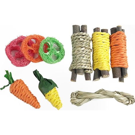 Lot de 9 Jouets à Ronger pour Hamster, Soin des Dents, Idéal pour Rats, Cochons d'Inde, Chinchillas, Gerbilles, Lapins, Résistant (1/5)