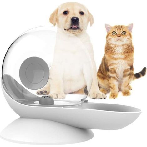 Fontaine a eau pour chat sans electricite,Abreuvoir à gravité Automatique Distributeur de Bol d\eau pour Chien et Chat -Gris (1/4)